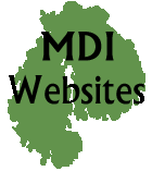 MDI Websites logo